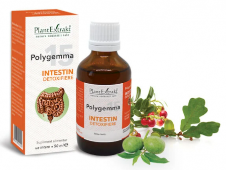 Sistem digestiv - Polygemma 15 - Intestin detoxifiere, 50 ml