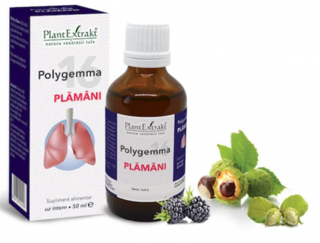 Spray/Tincturi/Gemoderivate - Polygemma 16 - Plămâni, 50 ml