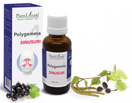 Spray/Tincturi/Gemoderivate - Polygemma 4 - Sinusuri, 50 ml