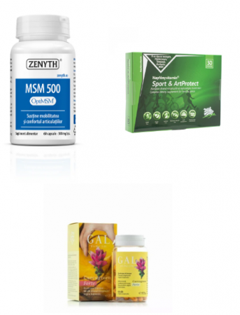 Protocoale - recomandari farmacist - Protocol Dureri articulare ( Artroze/Gonartroza/Poliartrita)(MSM ZENYTH, Sport & ArtProtect,CURCUGREEN)