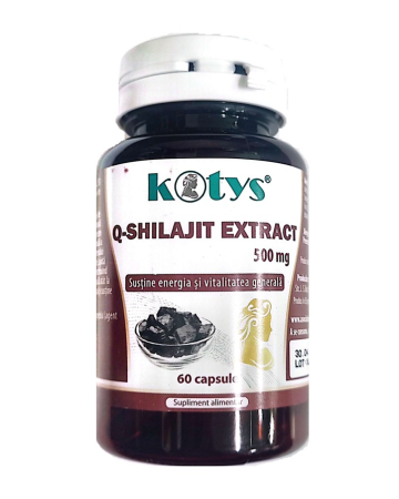 Afectiuni Frecvente - Q Shilajit 500 mg Kotys, 60 capsule – Antioxidant și Tonic pentru Vitalitate