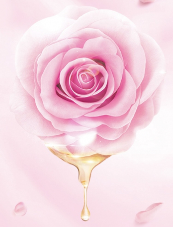 Ulei pentru fermitate  Dr.Rashel Rosehip Oil & Squalane Moisturizing Face Oil - 35ml [6]