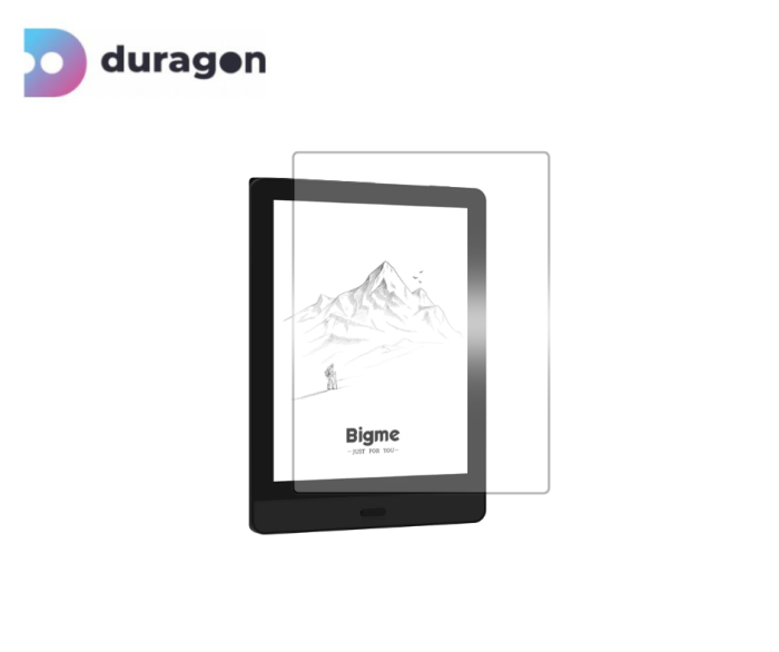 Folie Bigme Read 6 inch [2]