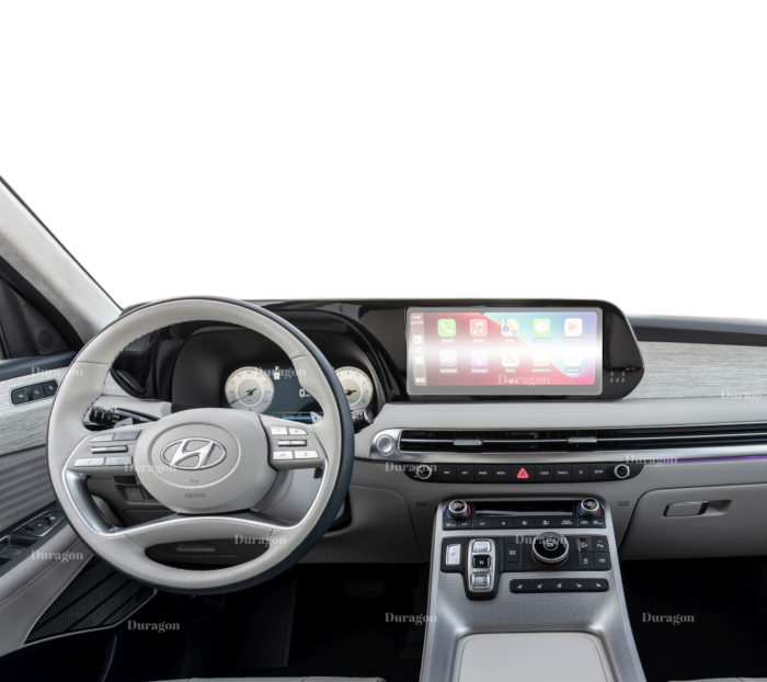 Folie Hyundai Palisade 2023-2025 [2]