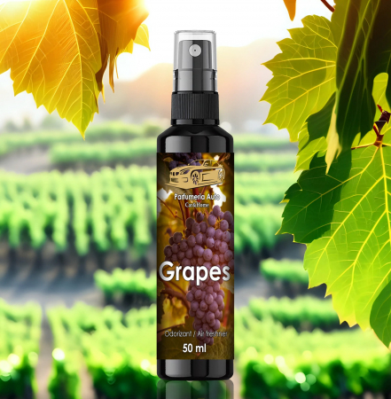 Parfum Auto  STRUGURE [1]