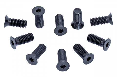 Accesorii si consumabile abric - Suruburi de schimb pt. cutite spiralate-arbore rindea (10 buc.) | ADM 260 S / AD 260 S / FS 310 PS / PT 310 S