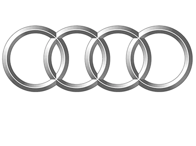 Camere DVR Audi