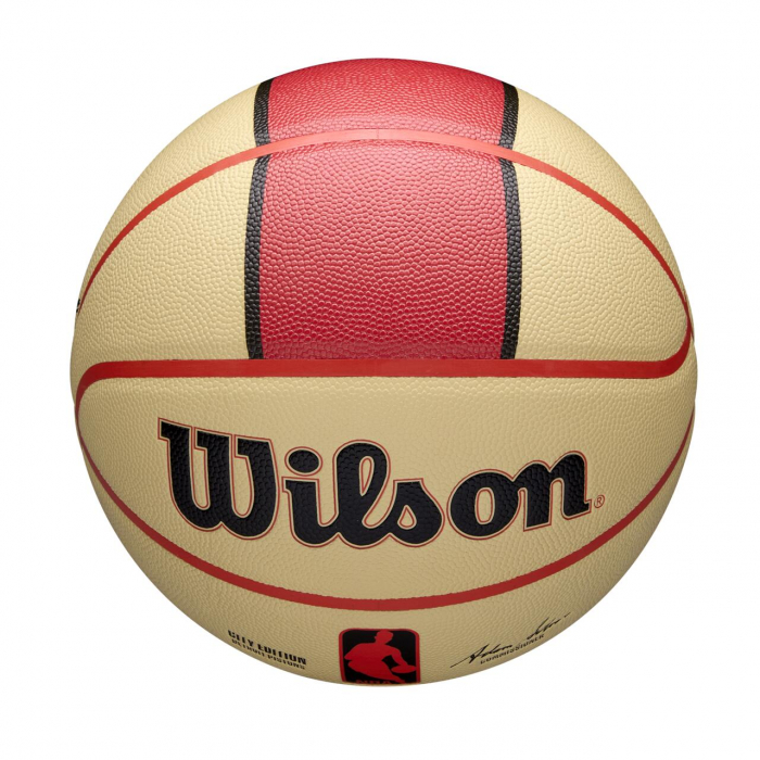 Minge baschet Wilson NBA TEAM CITY COLLECTOR Detroit Pistons 24-25 [5]