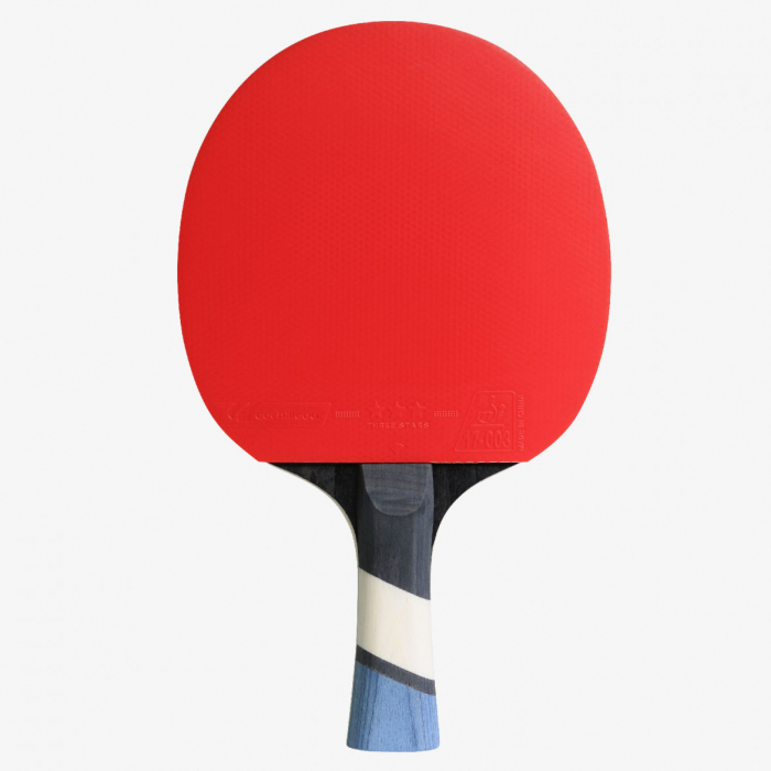 Paleta Cornilleau Perform 500 [3]