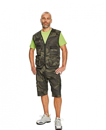 Veste - Vesta Crambe