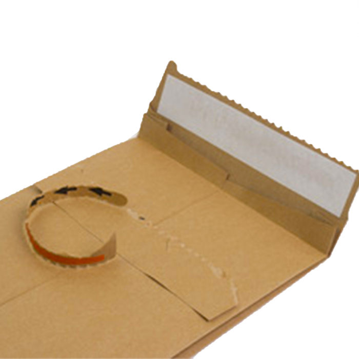 Plic curierat, e-Green, 500x400x100 mm [3]