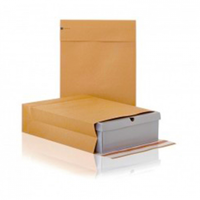 Plic curierat, e-Green, 590x450x100 mm [7]