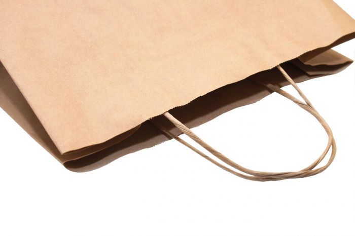Punga din hartie cu maner rasucit, 25+11x30, natur [3]