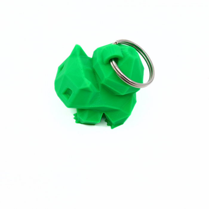 Breloc Bulbasaur, printat 3D [4]
