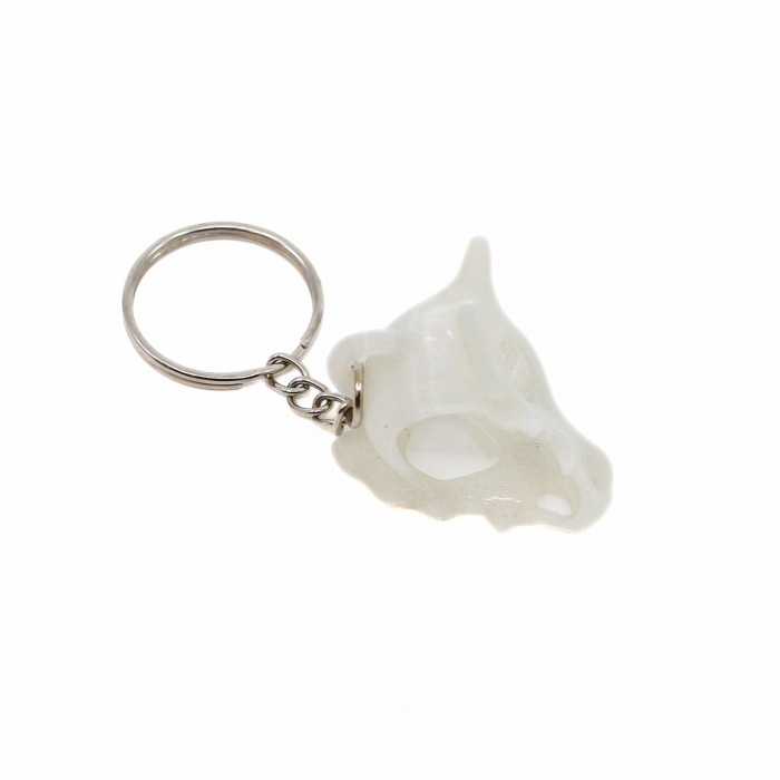 Breloc Craniu Cubone Fosforescent, printat 3D [3]
