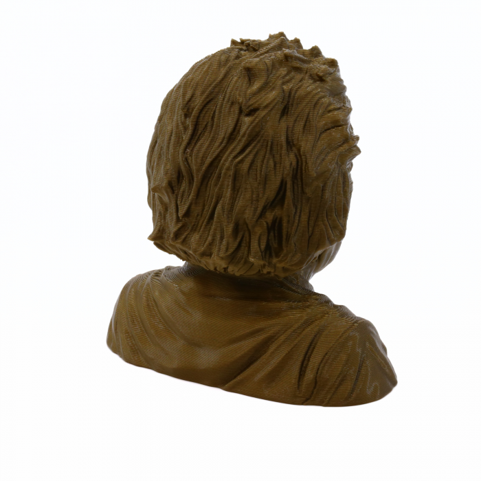 Figurină Albert Einstein printată 3D, 10 cm [5]