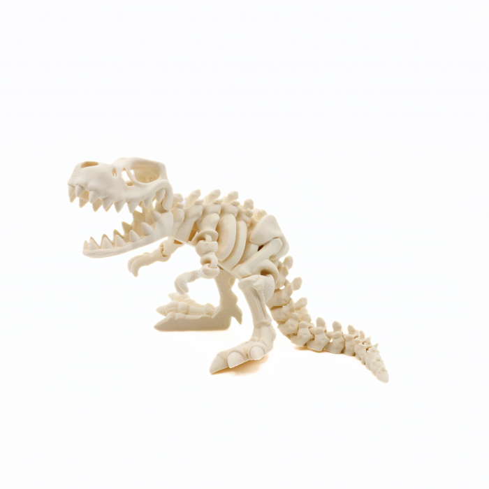 Figurina Ferocele T-Rex printata 3D, 20 cm [4]
