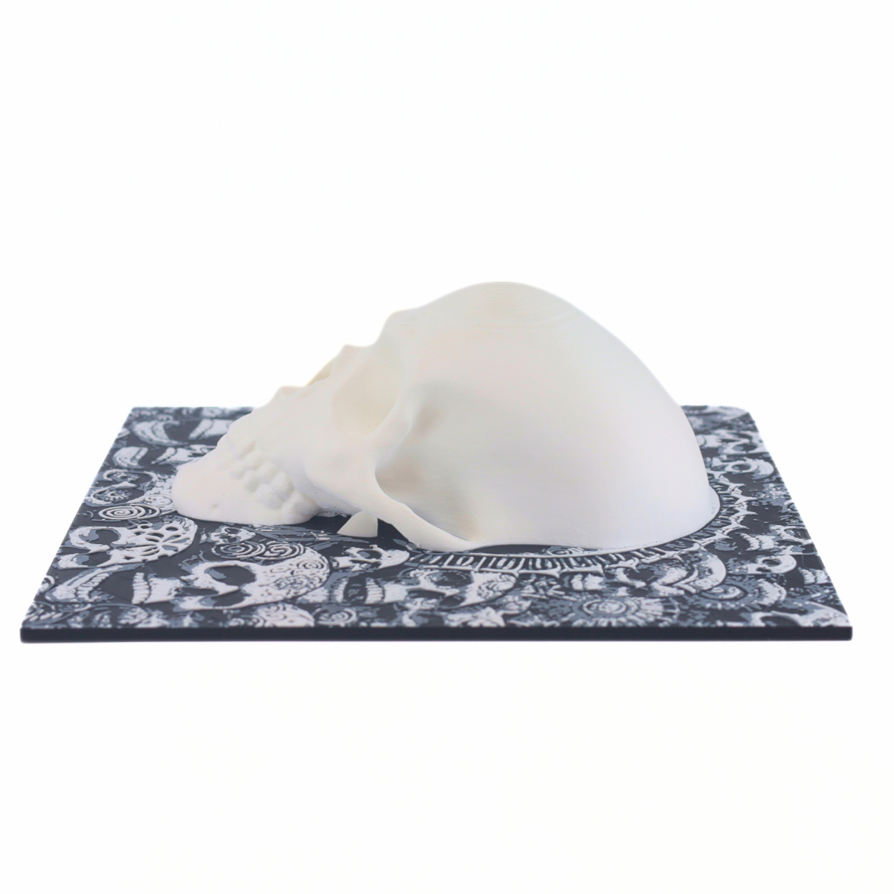 Wall decor Craniu, printat 3D, 19 cm [5]