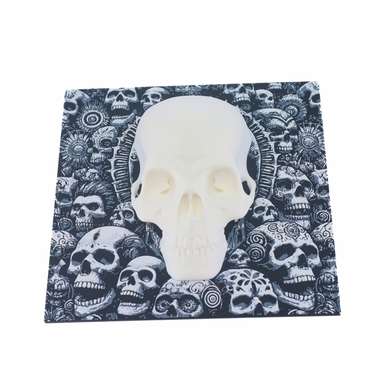Wall decor Craniu, printat 3D, 19 cm [4]