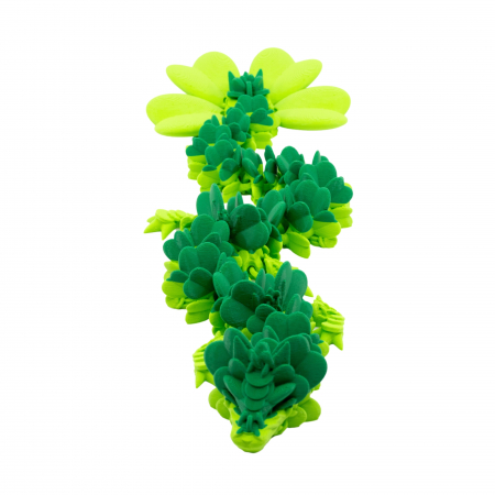 3D Dragon Trifoi Adult [2]