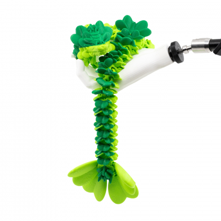 3D Dragon Trifoi Adult [5]