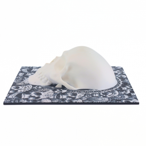 Wall decor Craniu, printat 3D, 19 cm [4]