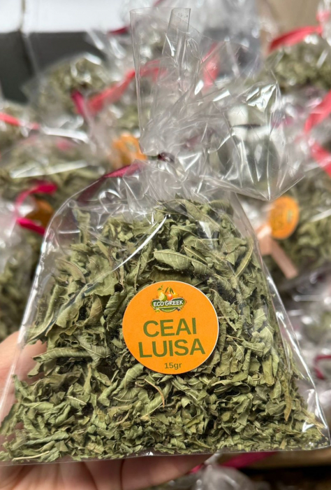 CEAI LUISA [1]