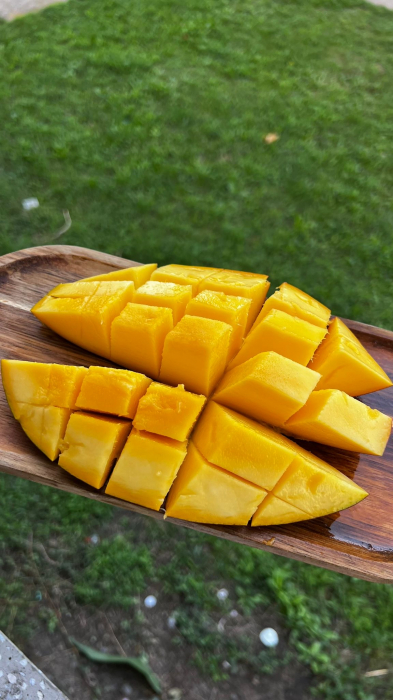 MANGO OSTEEN [3]