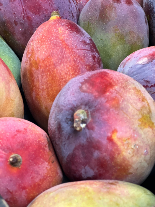 MANGO OSTEEN [2]