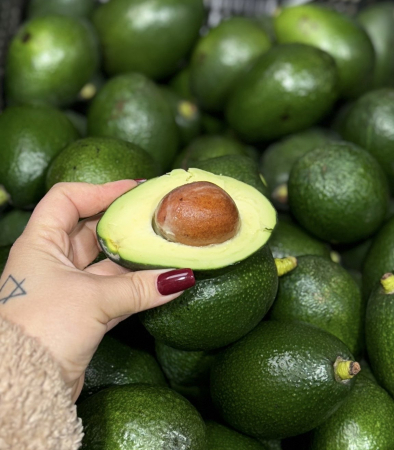 FRUCTE - Avocado BACON/FUERTE/PINKERTON/HASS