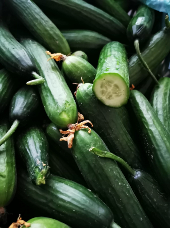 LEGUME - CASTRAVETI ECOGREEK