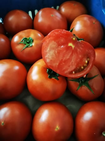 LEGUME - ROSII ECOGREEK