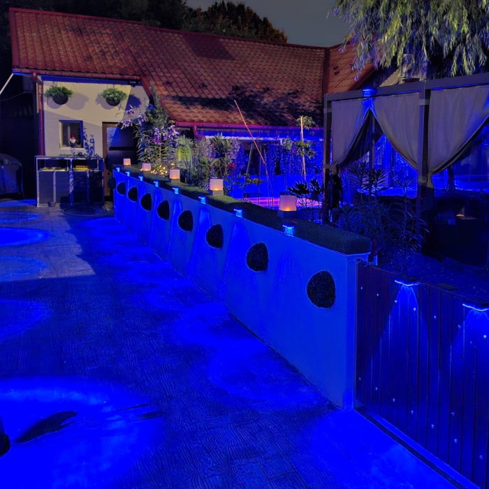 lampa-solara-led-rgb-bt90-3-gradina-flori-iluminare-exterior.jpg [3]