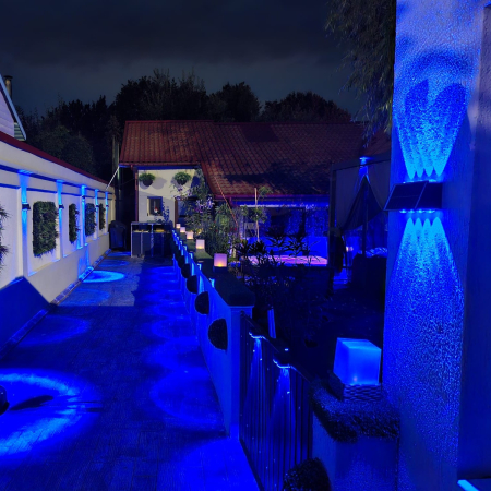 lampa-solara-led-rgb-bt90-3-gradina-flori-iluminare-exterior.jpg [1]