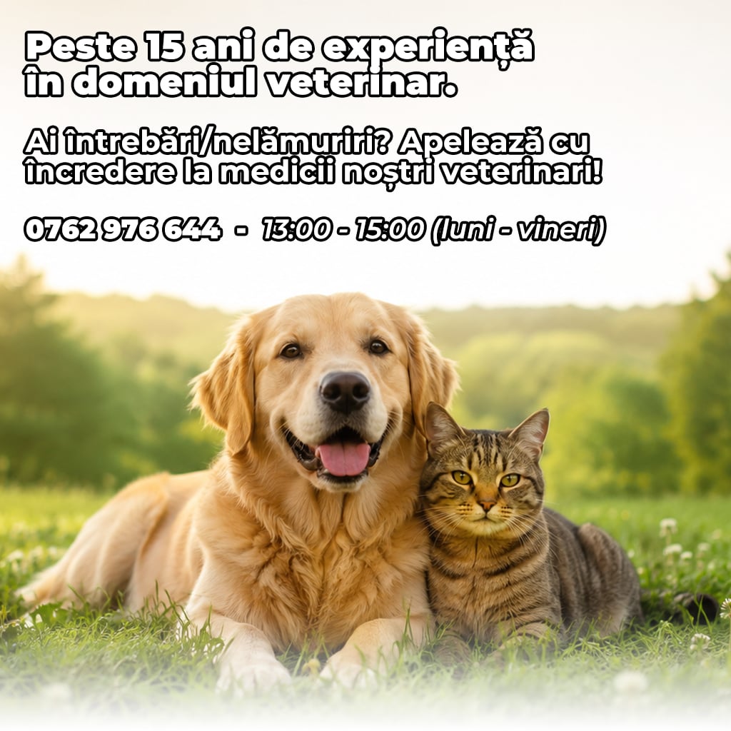 ecopet.ro medic vet mobil