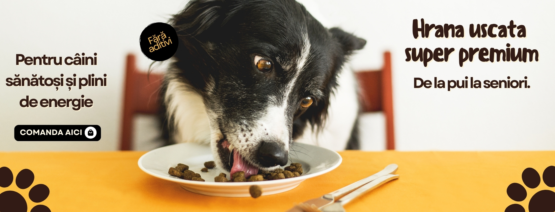 Hrana Sanatoasa pentru animale de TOP