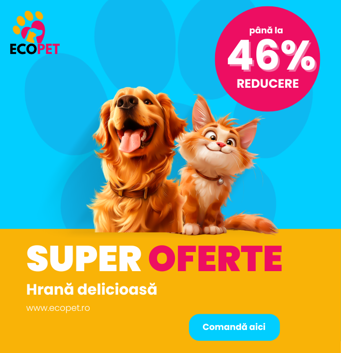super oferte mobile