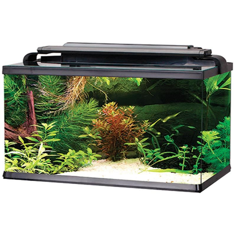 ACVARIU RECTANGULAR LED 15 L [1]