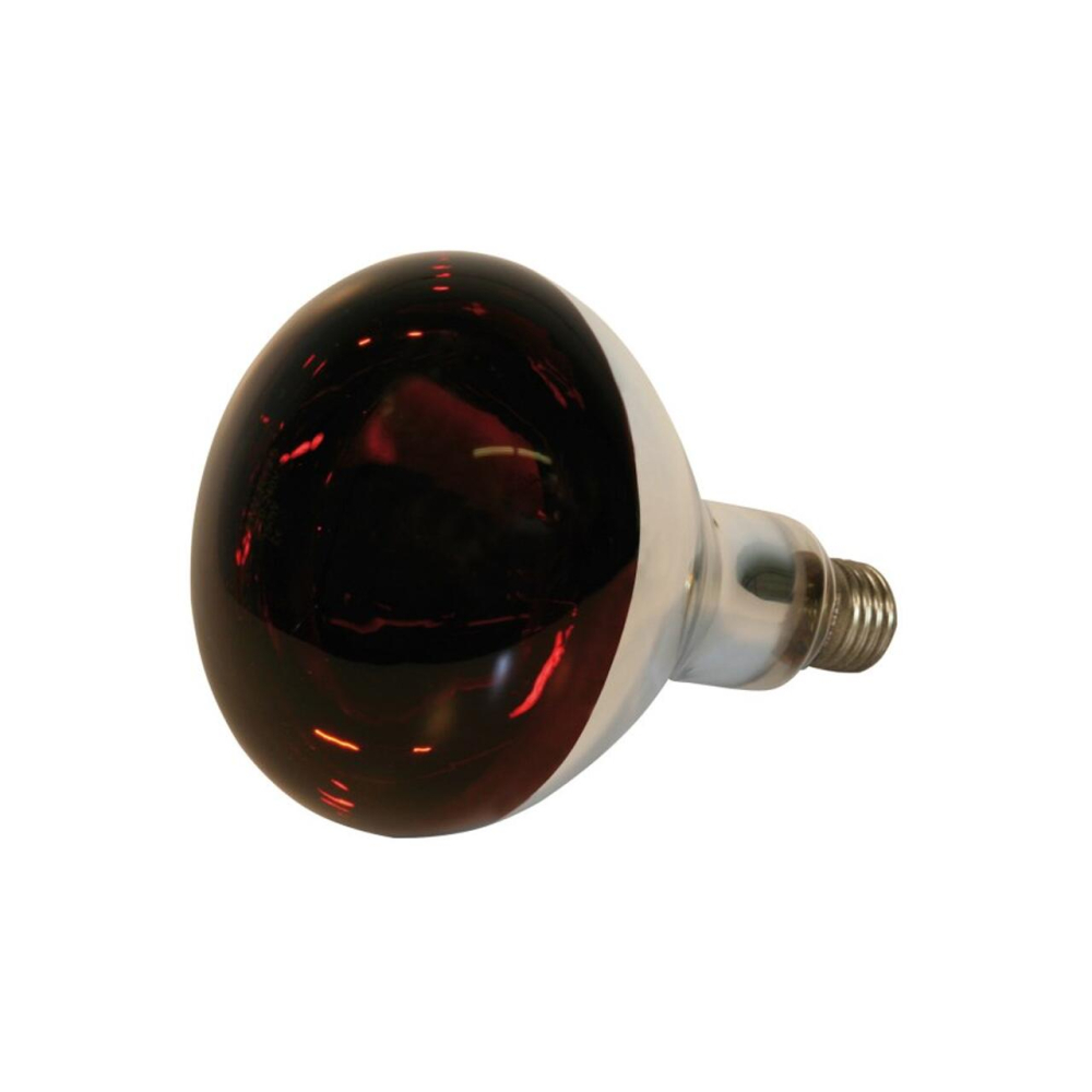 Bec infraroșu păsări, porci 150W [3]