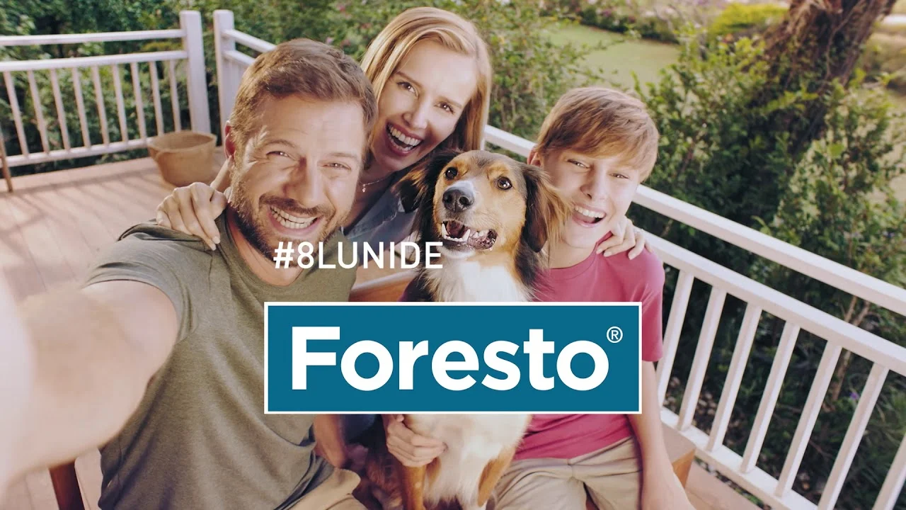 Zgardă antiparazitară Foresto câini și pisici mici până la 8 KG [3]