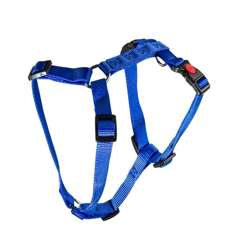 HAM PENTRU CAINI 3X AJUSTABIL NYLON BLUE CLICK 20 MM*40-70 CM [1]