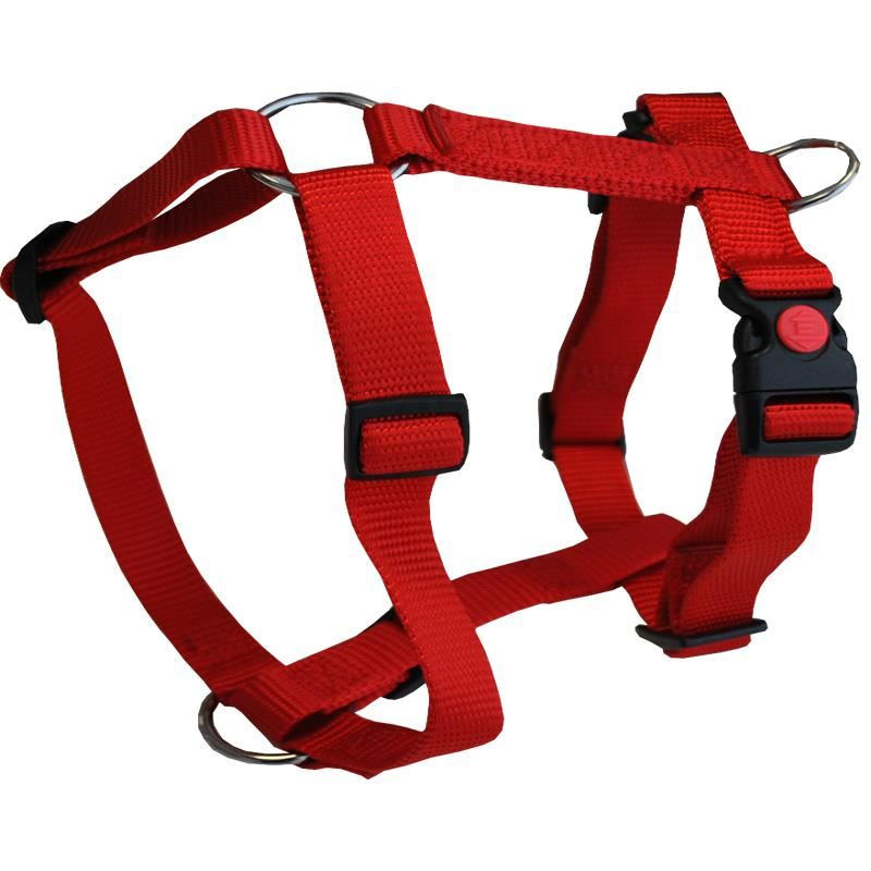 HAM PENTRU CAINI 3X AJUSTABIL NYLON ROSU CLICK 10MM*22-40CM [1]