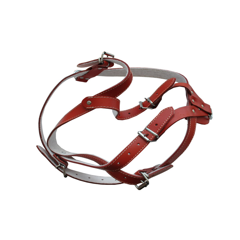 HAM PIELE PENTRU CAINI CU ORNAMENT NR.3 ROSU 64-72CM/16MM [1]