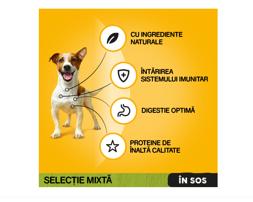Hrana umeda pentru caini Pedigree Adult, Megapack plicuri, 40 x 100g [4]