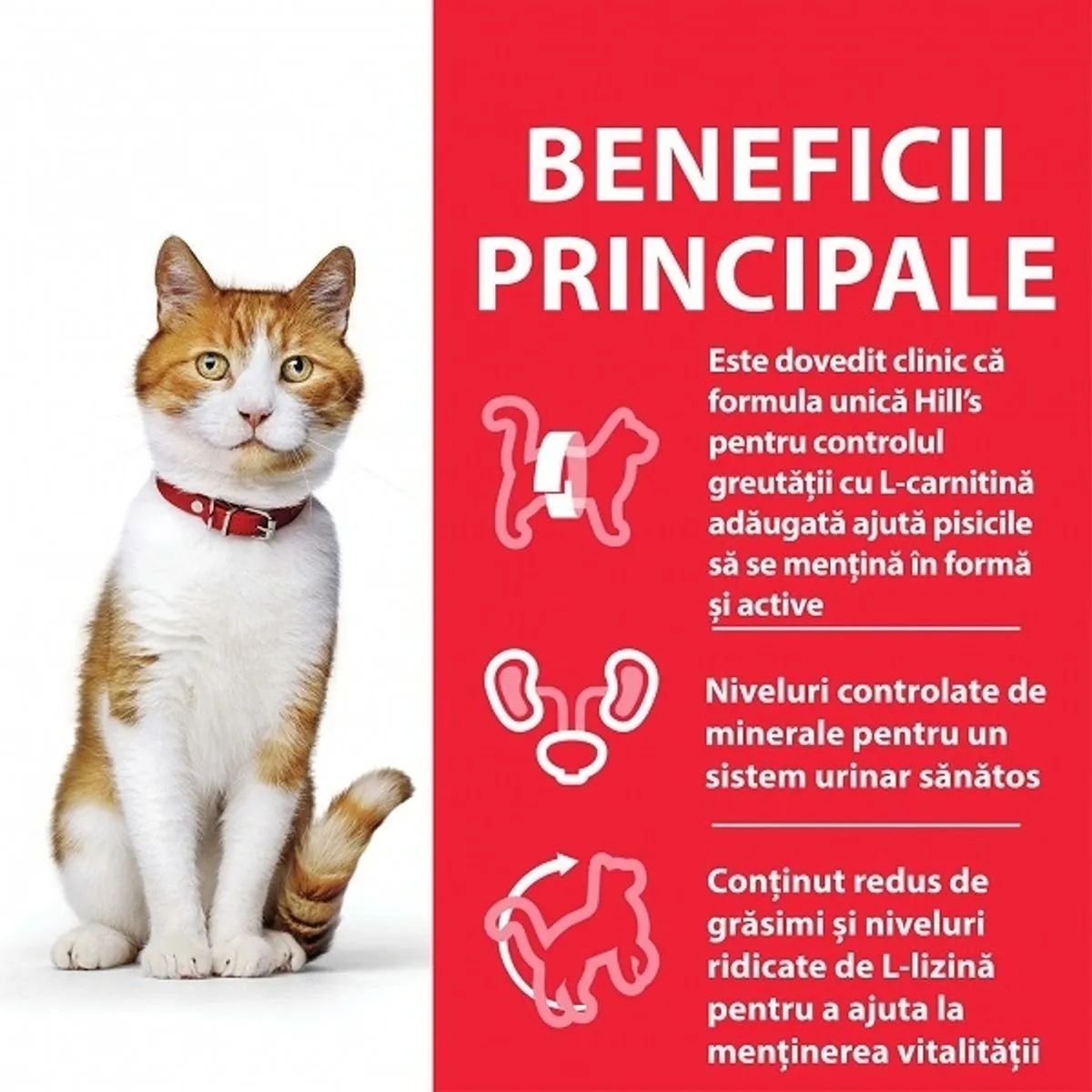 Hrana umeda pentru pisici Hills SP Feline Adult Sterilised Plic Pui, 85 g [2]