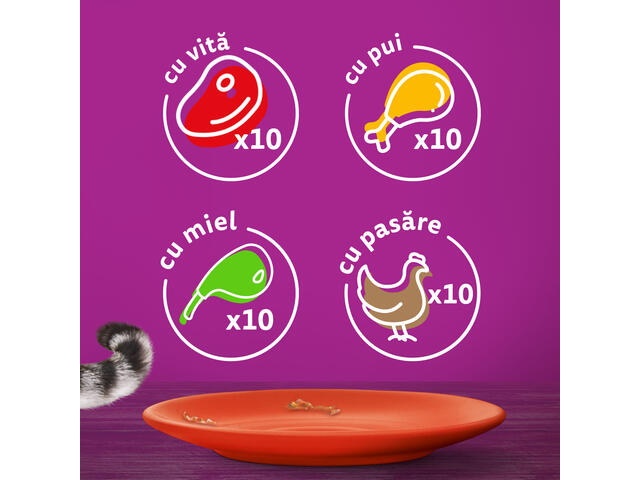 Hrana umeda pentru pisici Whiskas, selectii clasice in sos de carne, Vita, Pui, Miel si Pasare, 40 x 85 g [2]