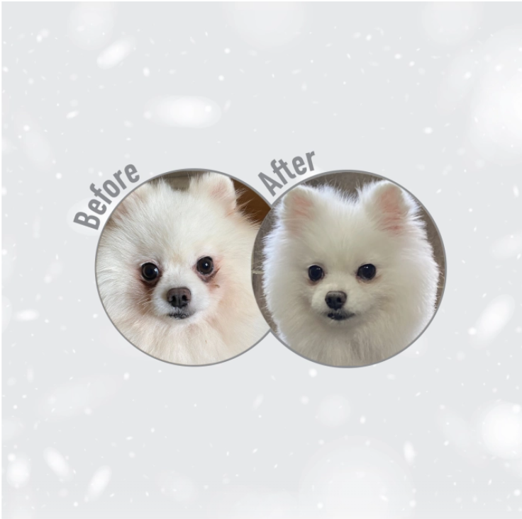 Hrana uscata pentru caini Superior Care White Dogs Lamb Adult Small&Mini Breeds [2]