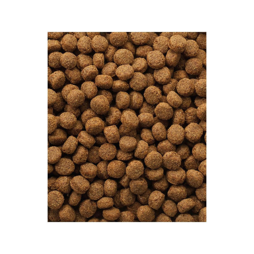 HRANA USCATA PENTRU CAINI VERSELE LAGA CLASSIC OKE PUPPY 10 KG [2]