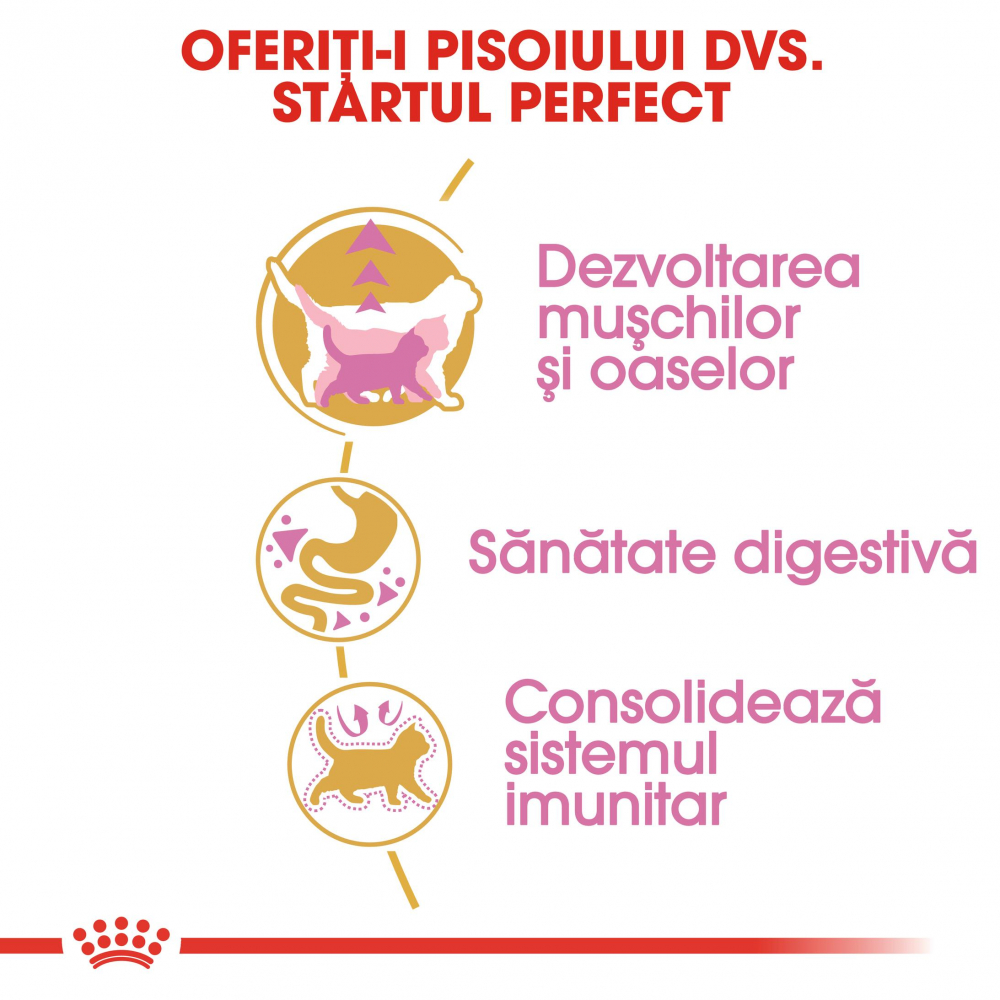 Hrana uscata pentru pisici Royal Canin, British Shorthair, Kitten, 2Kg [6]