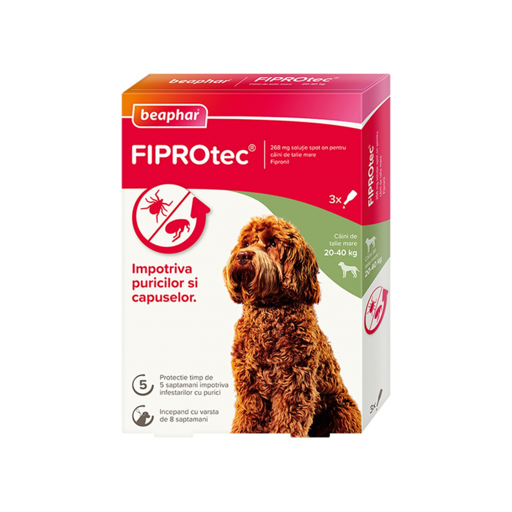 PIPETA ANTIPARAZITARA PENTRU CAINI FIPROTEC BEAPHAR L 20-40KG (3PIPx2.68ML/CUT) [1]